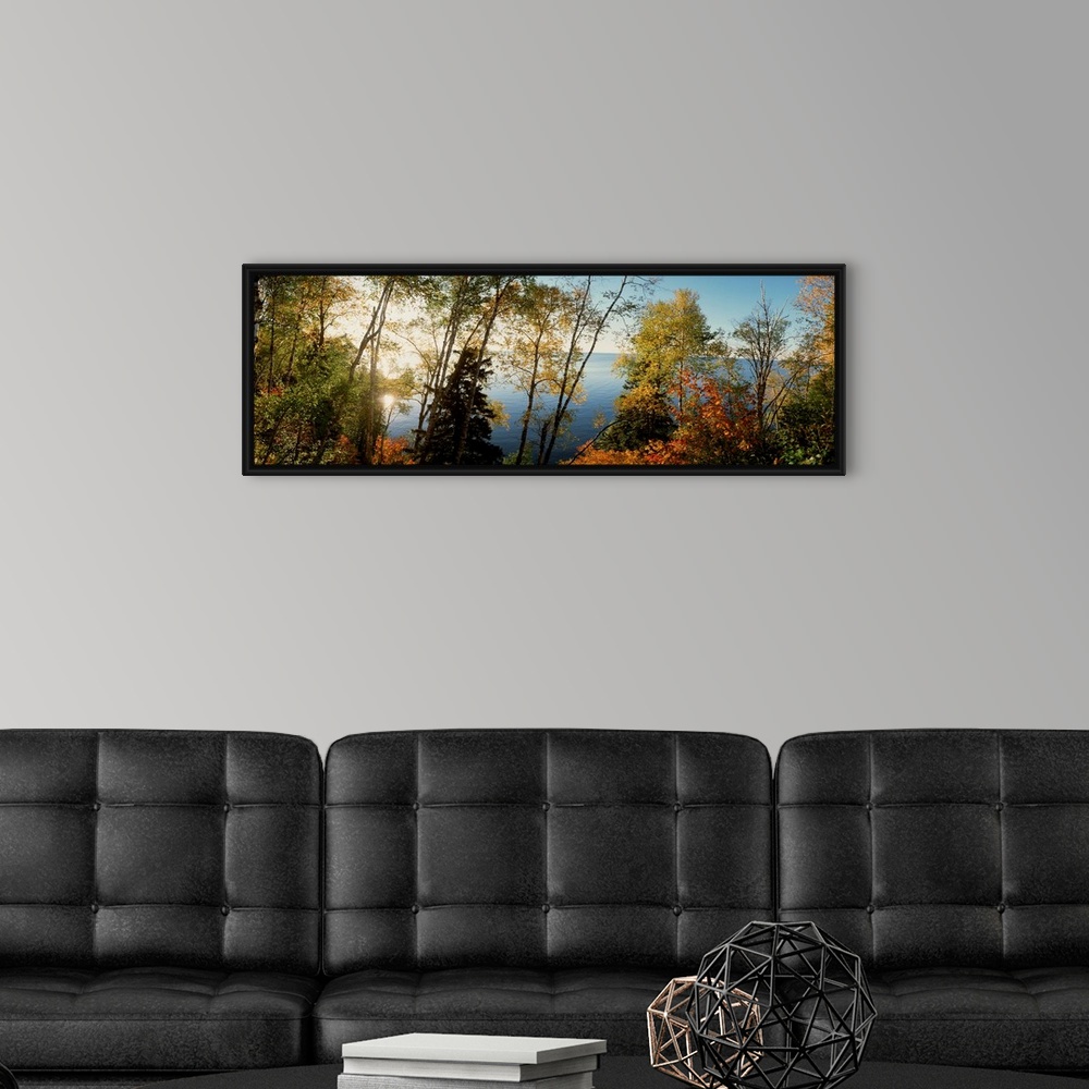 A modern room featuring This vertical photograph shows leaves starting to show their autumn colors on trees growing aroun...