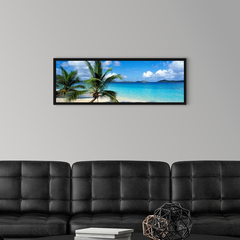 A modern room featuring A panoramic photograph of a couple palm trees sitting on the Salomon Beach in the Virgin Islands....