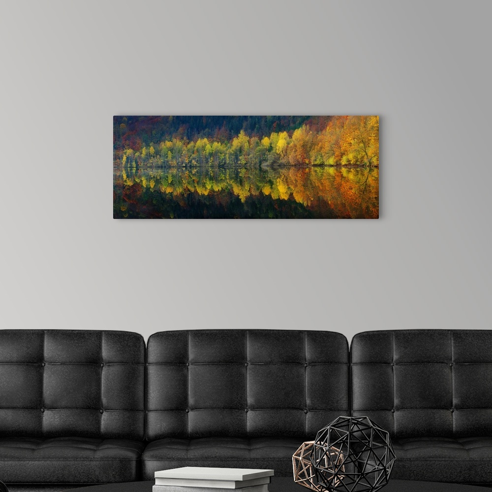 A modern room featuring Perfect mirror image of trees turning fall colors in the lake below.