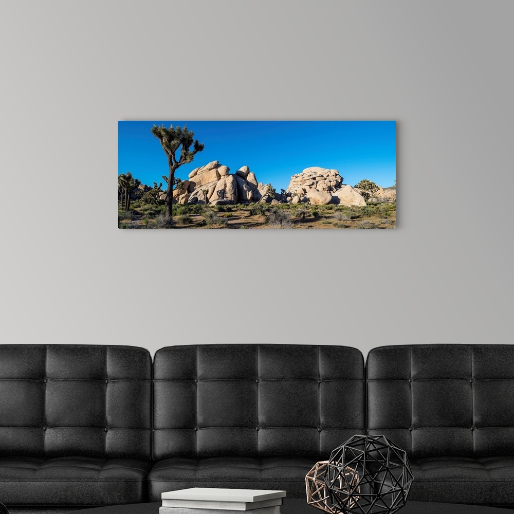 A modern room featuring Boulders in a desert, joshua tree national park, san bernardino county, riverside county, souther...