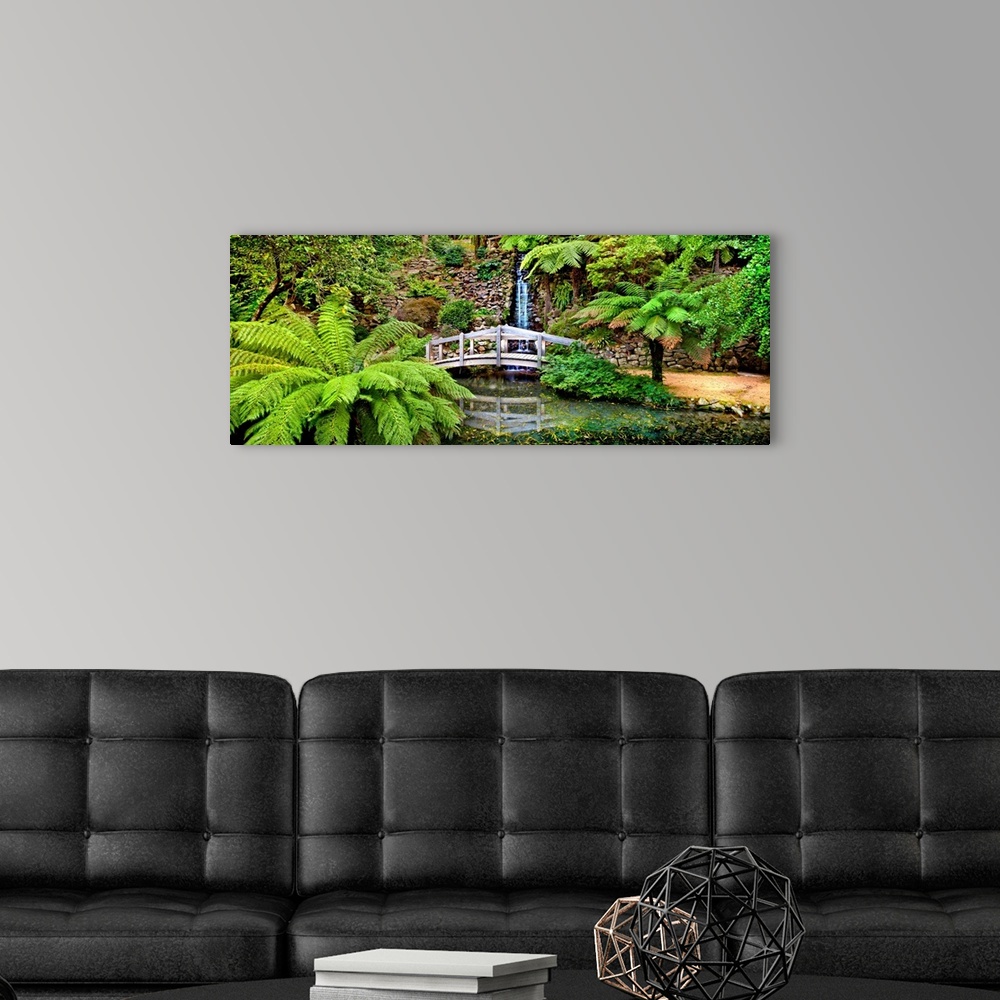 A modern room featuring Footbridge and waterfall in a forest, Dandenong Forest, Melbourne, Victoria, Australia.
