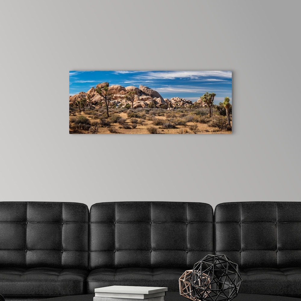 A modern room featuring Joshua trees and rocks on a landscape, Joshua Tree National Park, California, USA