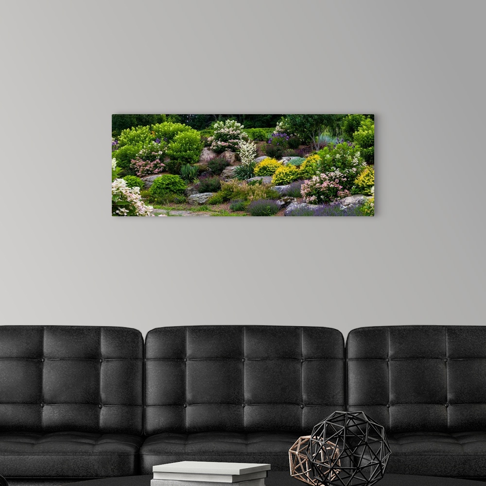 A modern room featuring Rocks and plants in Rock Garden, Knowlton, Quebec, Canada
