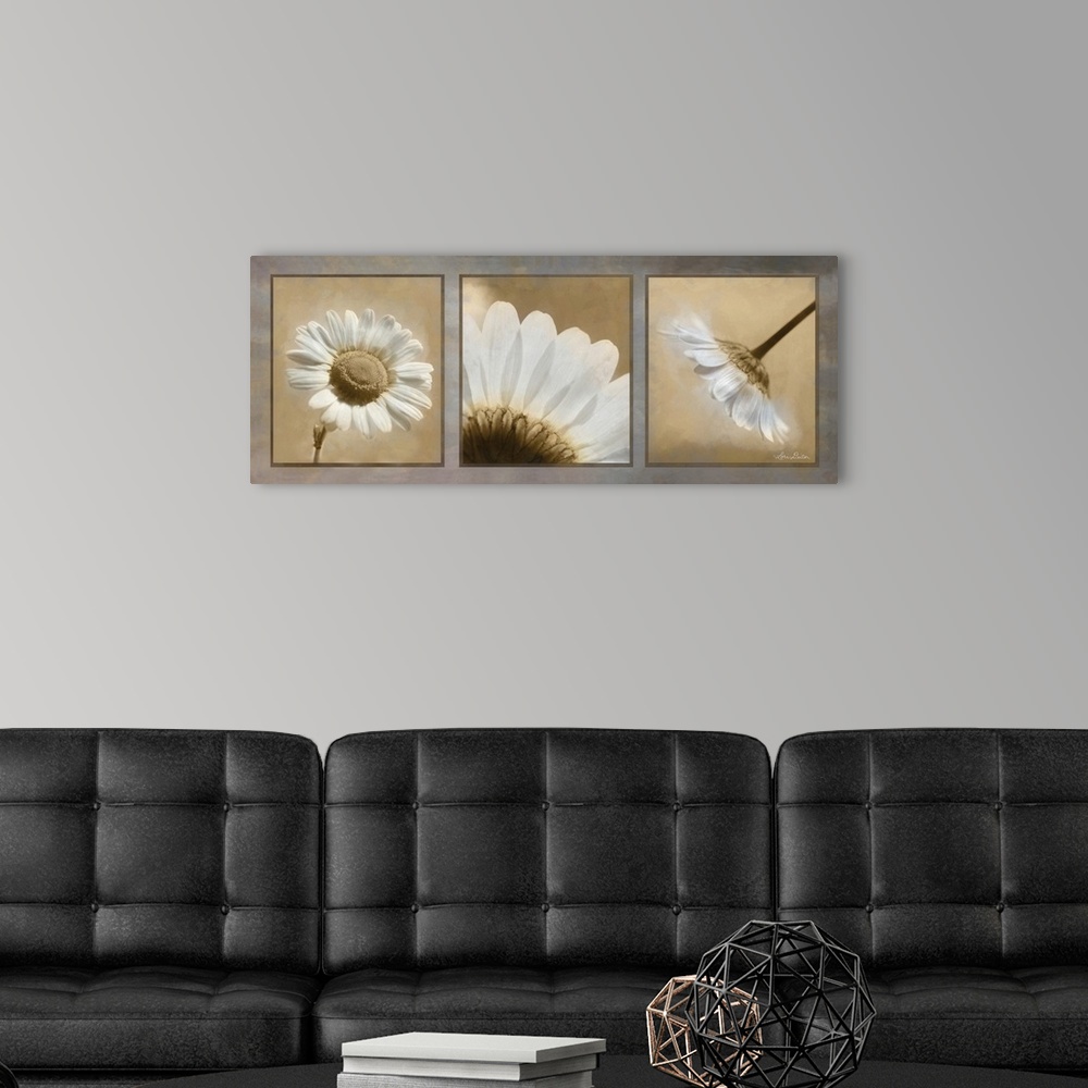 A modern room featuring This contemporary piece features three  close-up photos of a daisy.