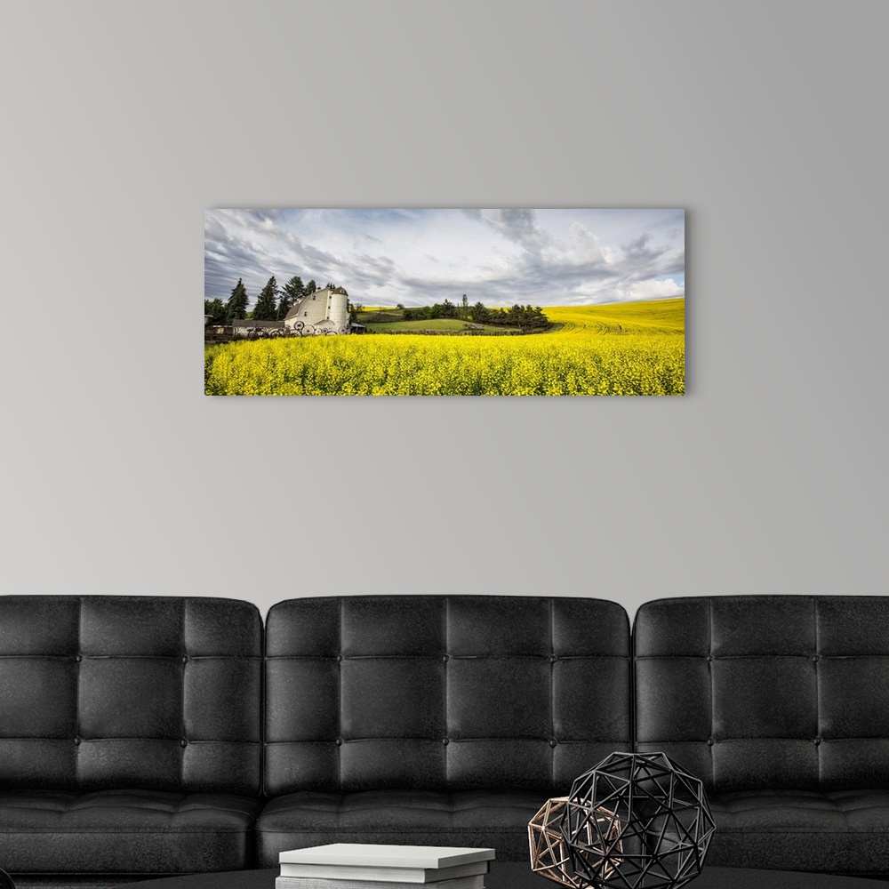 A modern room featuring The Dahmen Barn and yellow Cannola Fields in the Palouse, Washington