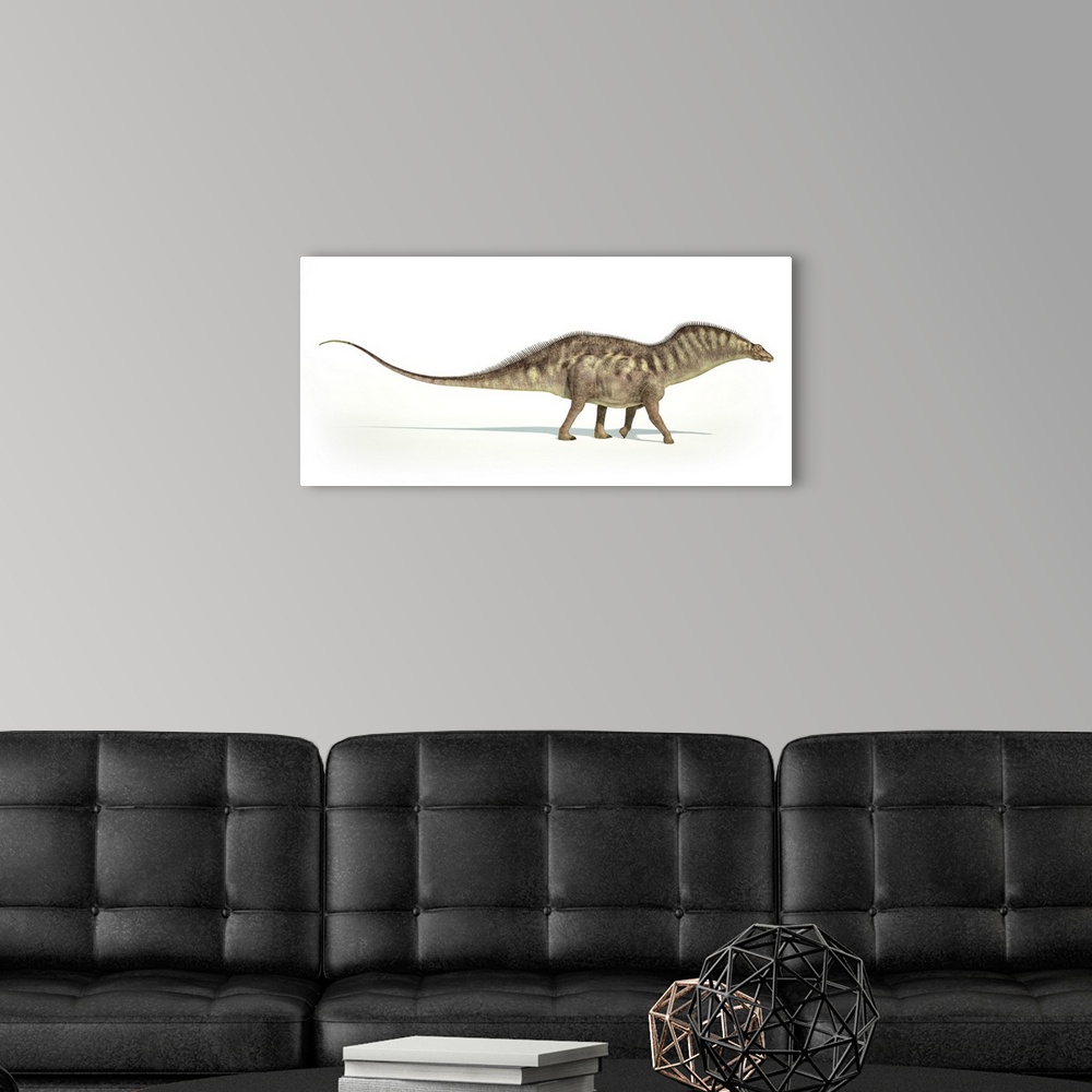 A modern room featuring Amargasaurus dinosaur on white background.