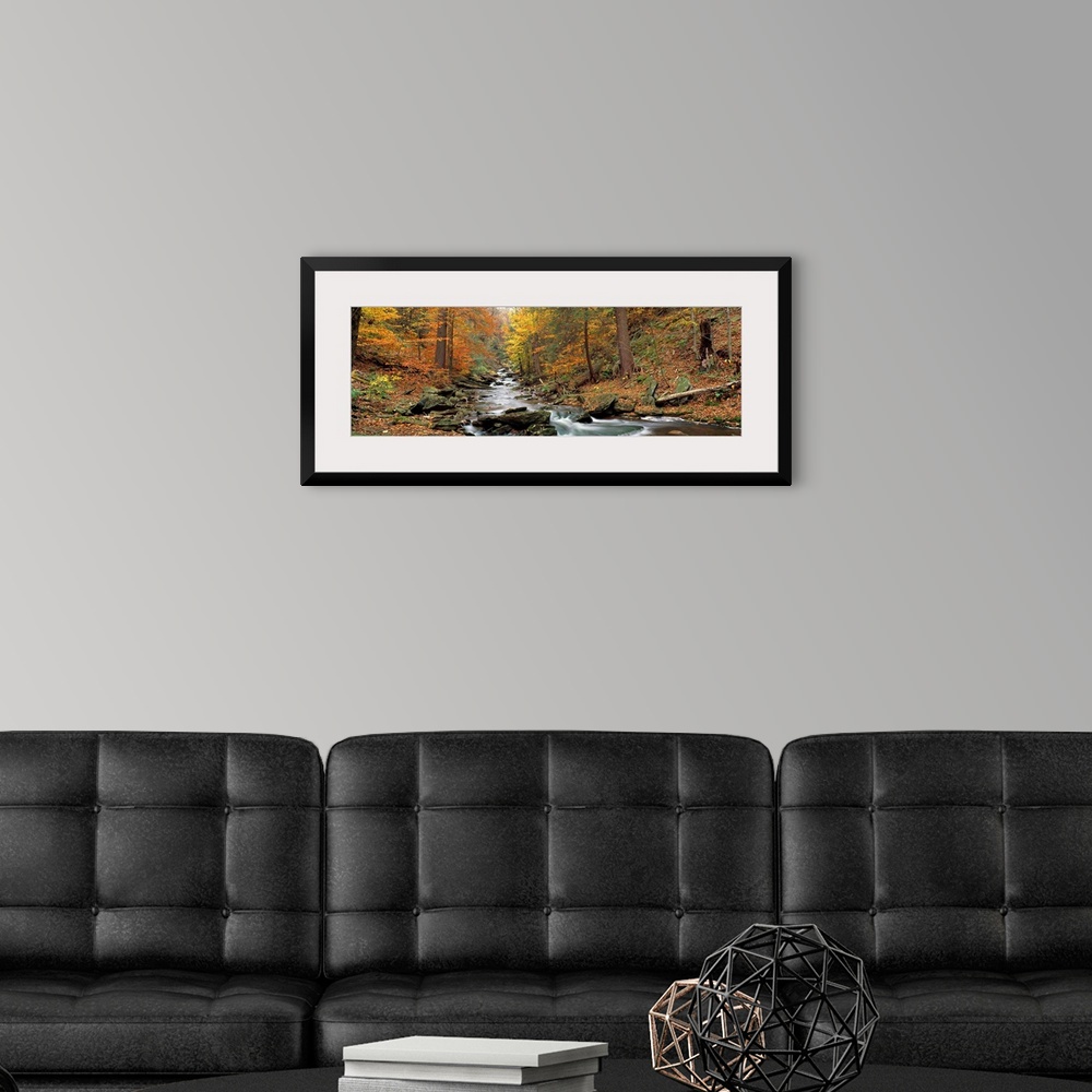 A modern room featuring This panoramic wall hanging is a photograph that shows the view up a boulder filled stream in an ...
