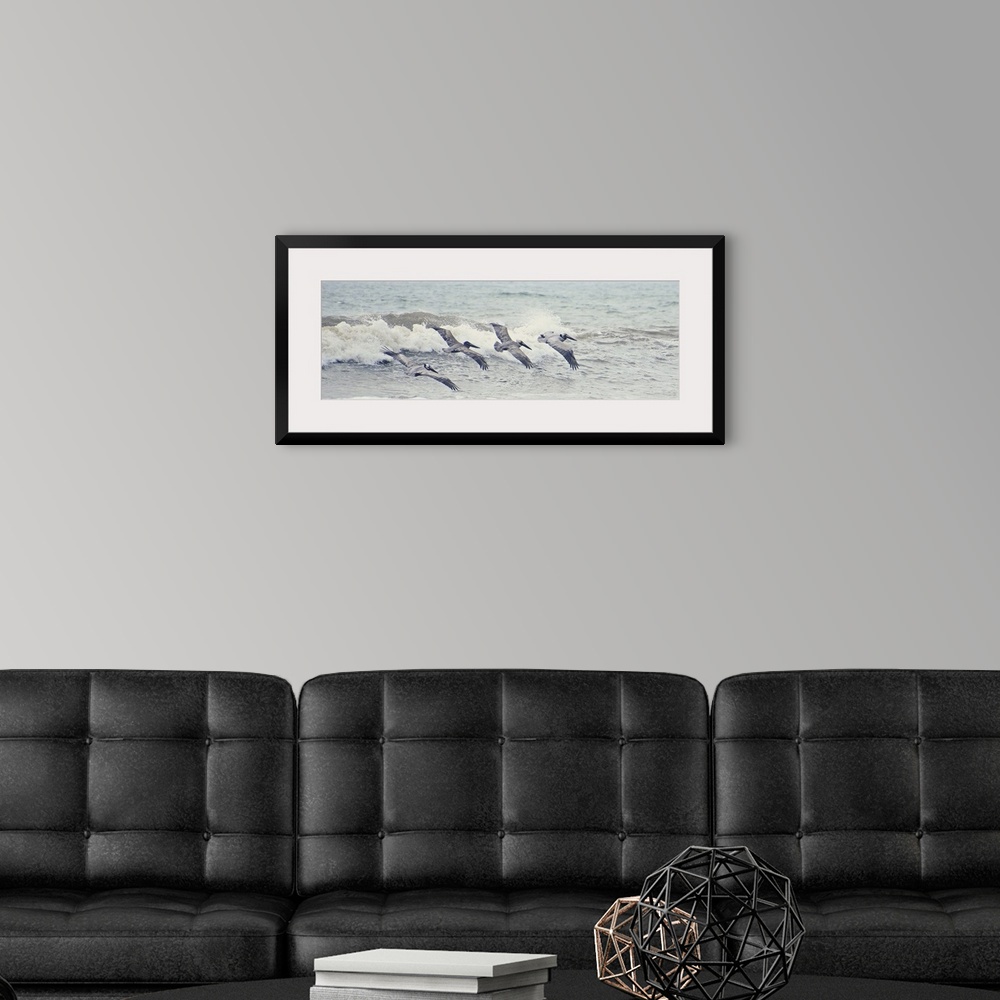 A modern room featuring A photograph of four pelicans flying in a line over ocean waves.