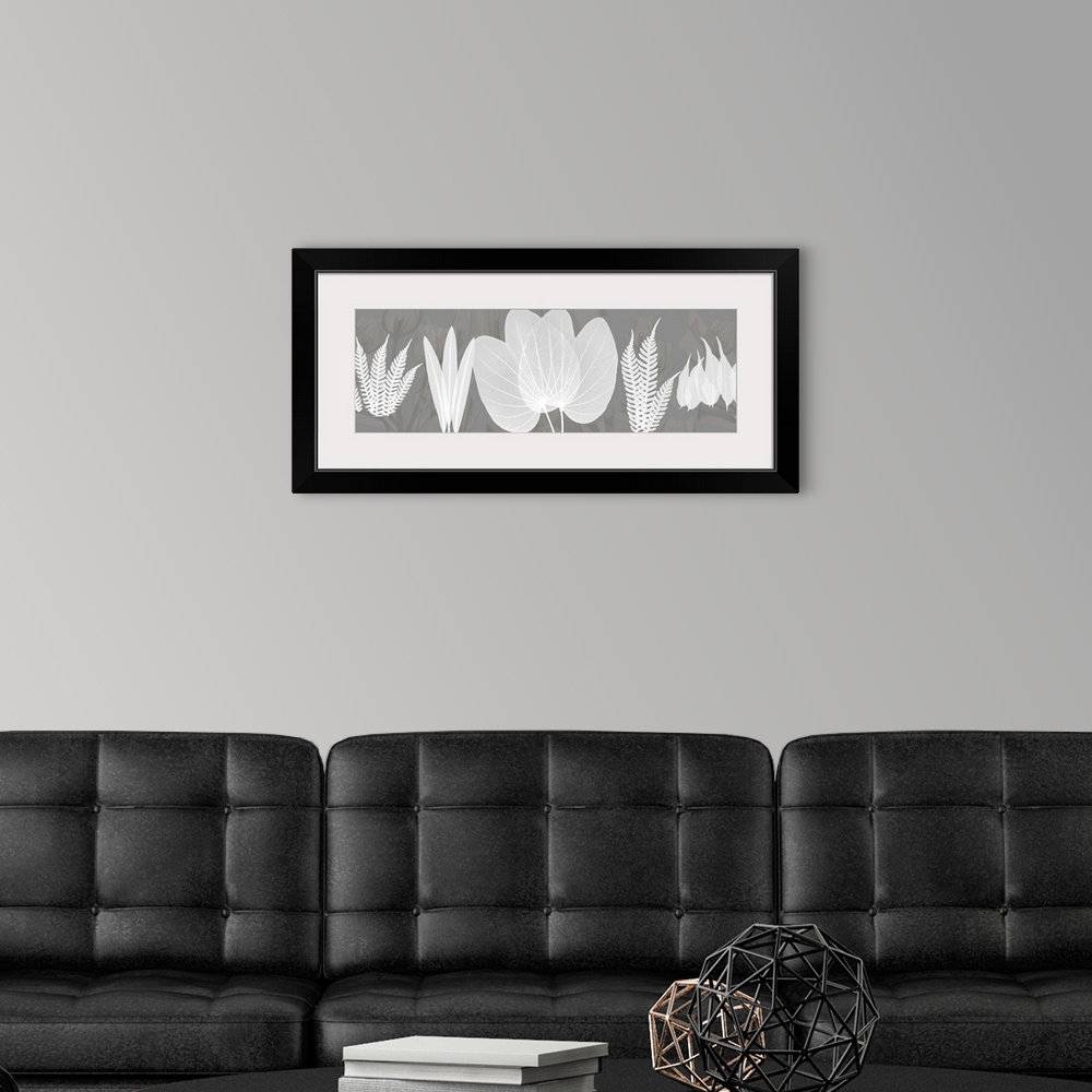 A modern room featuring Grey Beauty x-ray photography