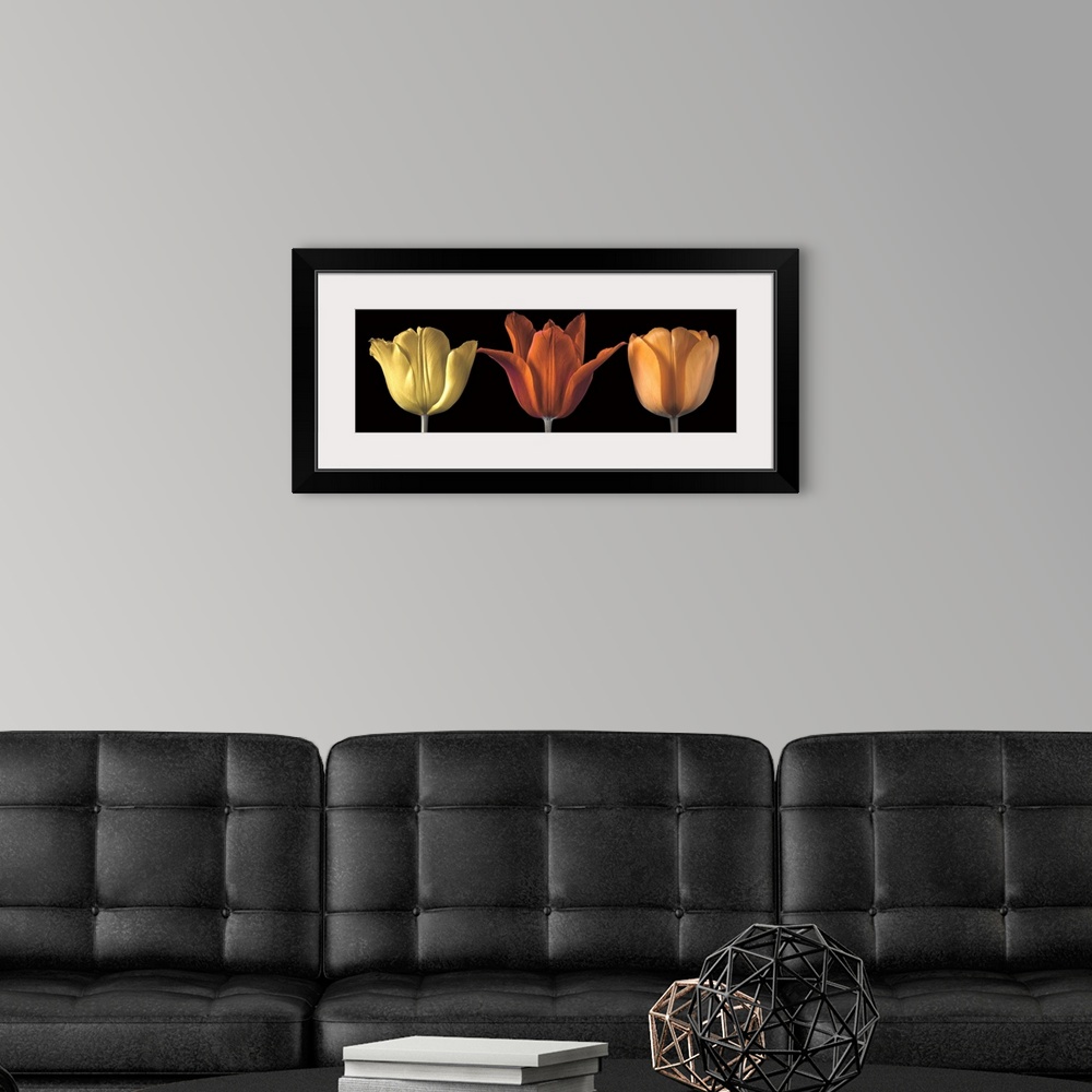 A modern room featuring A photo of three tulips in yellow, red and orange.