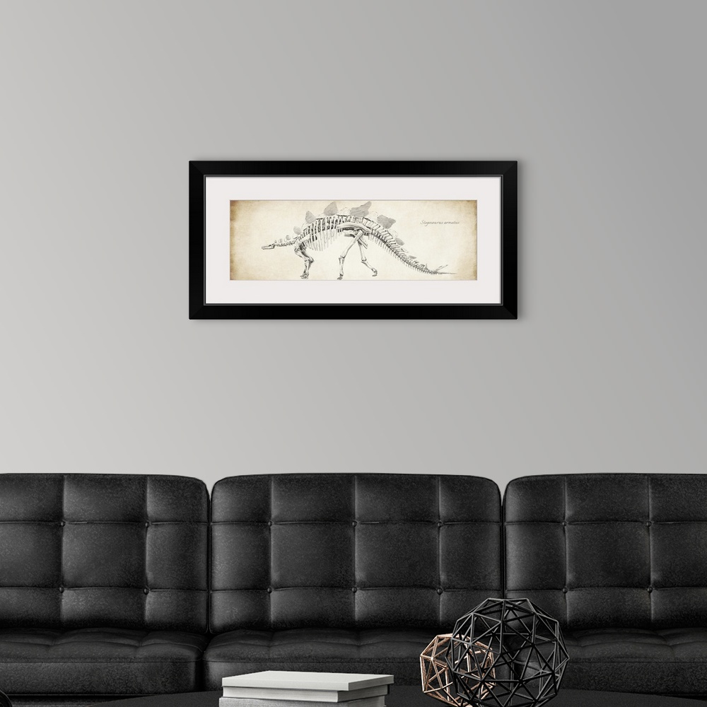 A modern room featuring Stegosaurus armatus