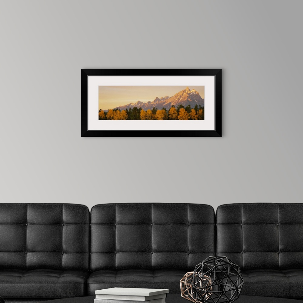 A modern room featuring Panoramic photograph of mountain range with forest tree tops in the foreground.