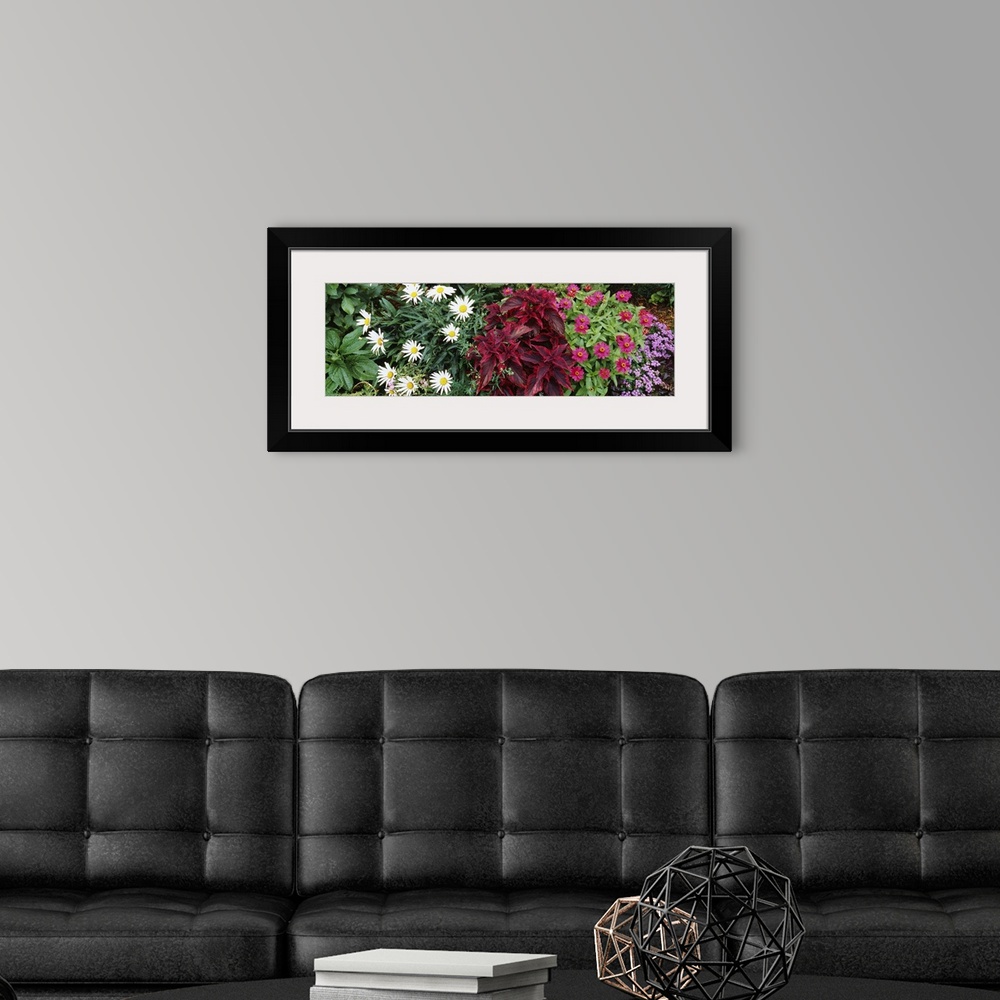 A modern room featuring Close-up of flowers, Adirondack Mountains, New York State