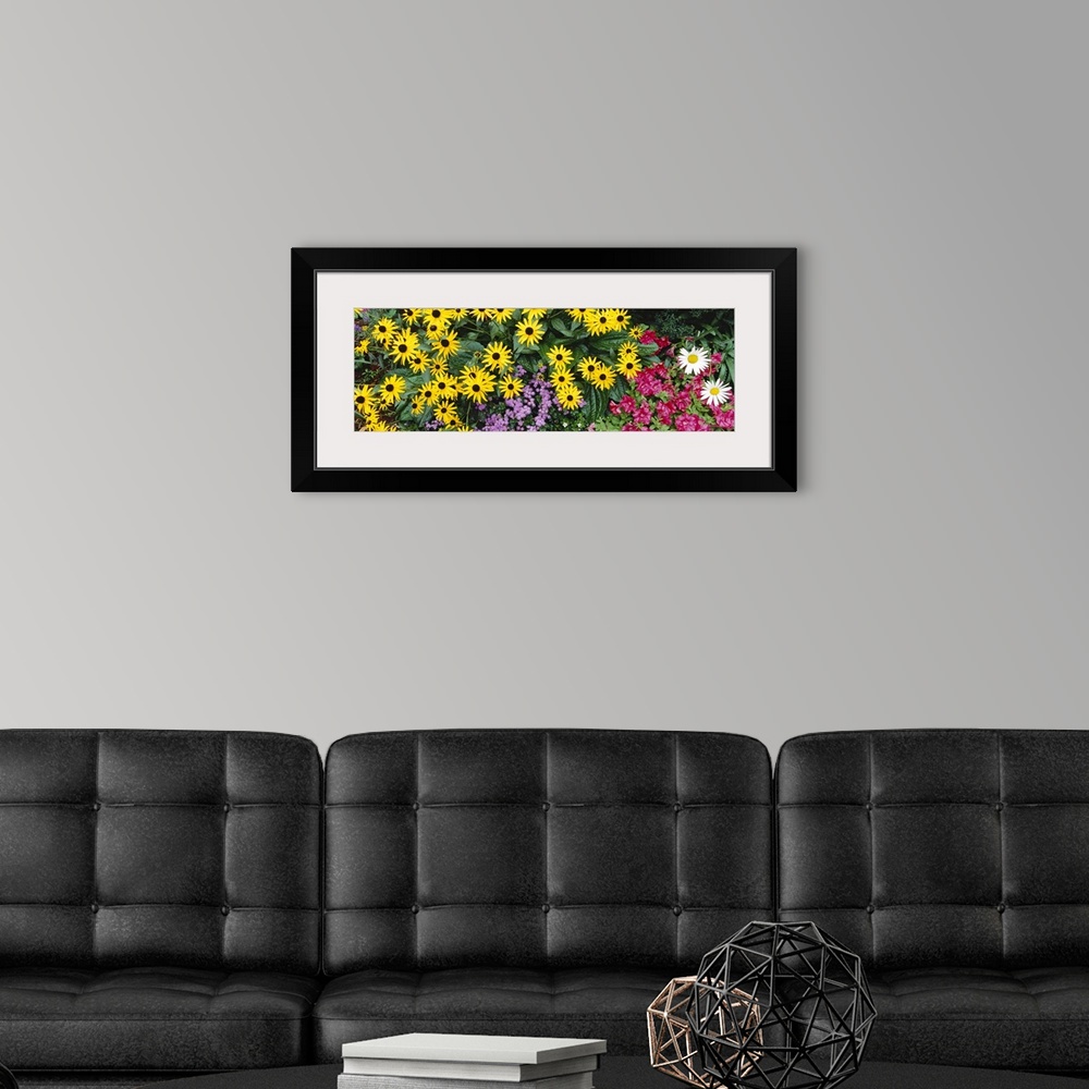 A modern room featuring Photograph of vivid blooming wildflowers in the Adirondack mountains in New York.