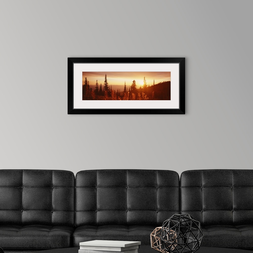 A modern room featuring Panoramic bright photo of a forest with grass and tall trees in the foreground and rolling mounta...