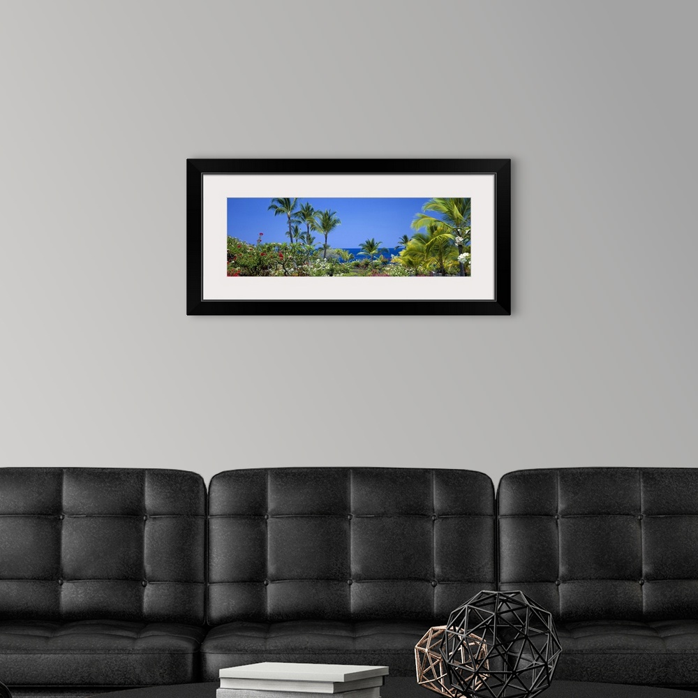 A modern room featuring Long panoramic image of palm trees and other flowering plants and bushes along the coastline of H...