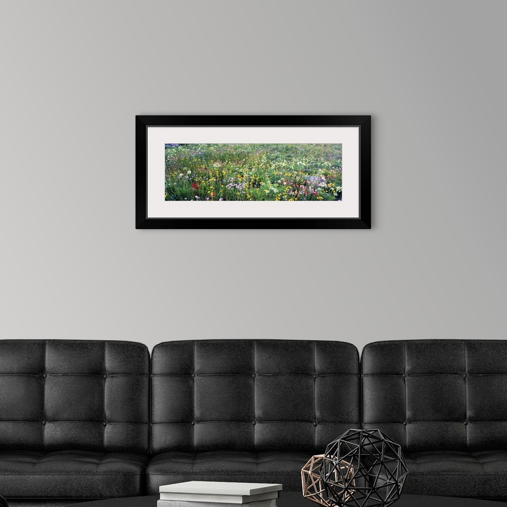 A modern room featuring Landscape, oversized photograph of a field of tall grasses and various wildflowers in Grand Teton...