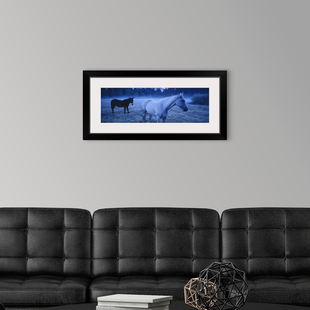 A modern room featuring Oversized, landscape photograph of a horse and a donkey standing in a lightly foggy field just be...