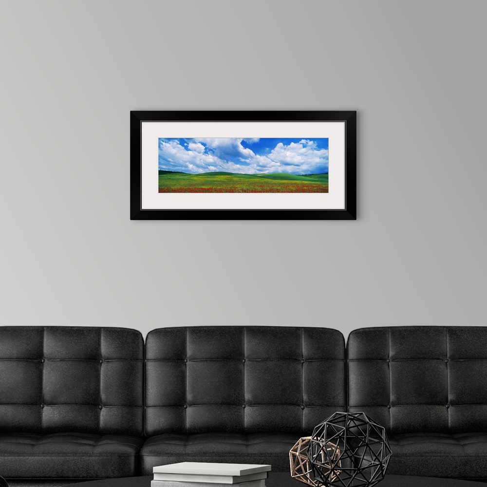A modern room featuring Panoramic view of an open field full of bright poppy flowers under a wide open sky with lots of p...