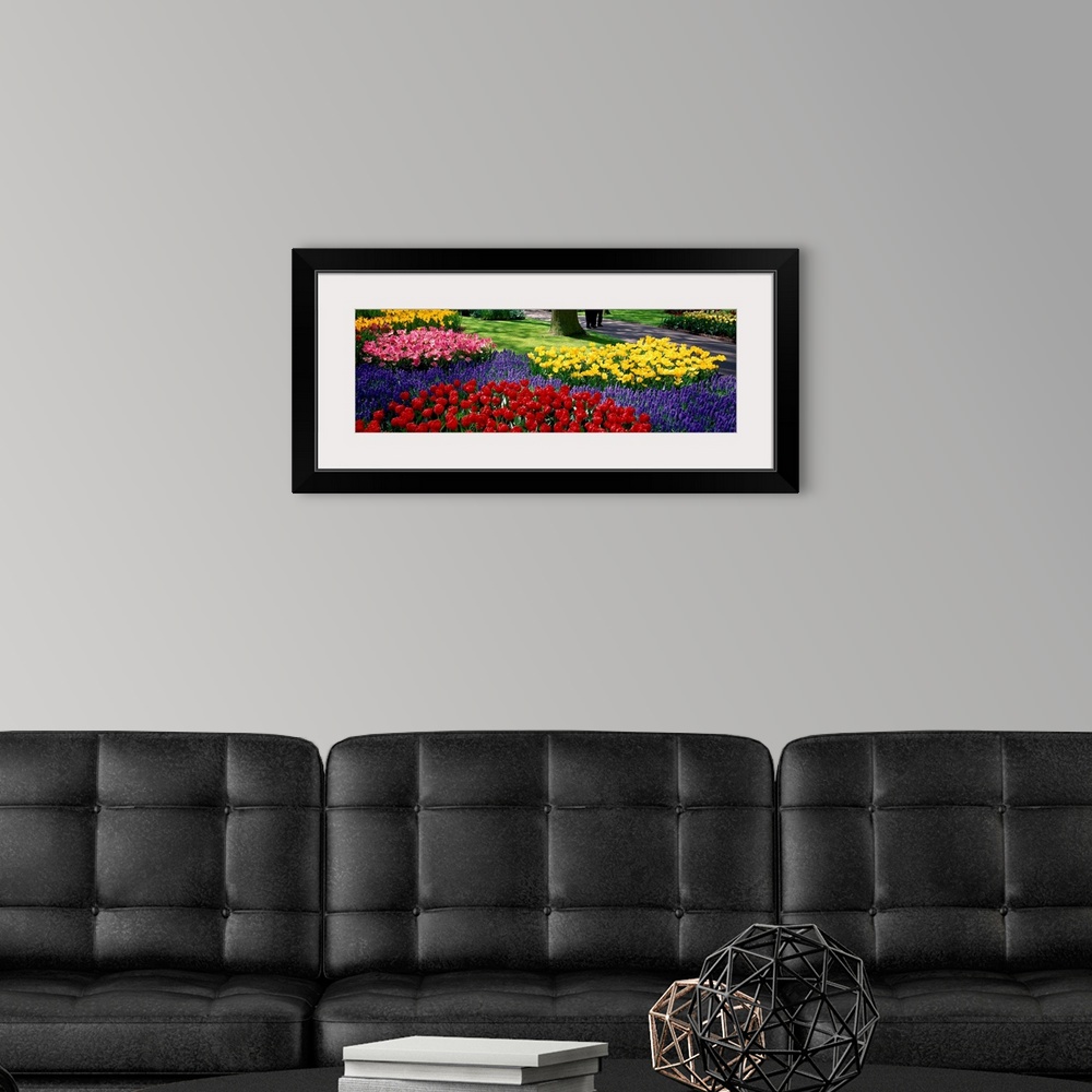 A modern room featuring Panoramic photograph displays various groups of vibrantly colored flowers as they sit near the ed...