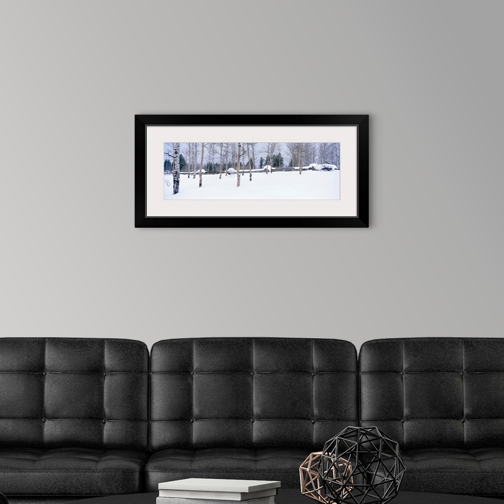 A modern room featuring Montana, fence, aspen, snow, winter