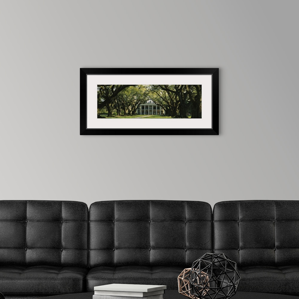 A modern room featuring Panoramic, oversized photograph of Oak Alley Plantation at the end of a pathway surrounded by lar...
