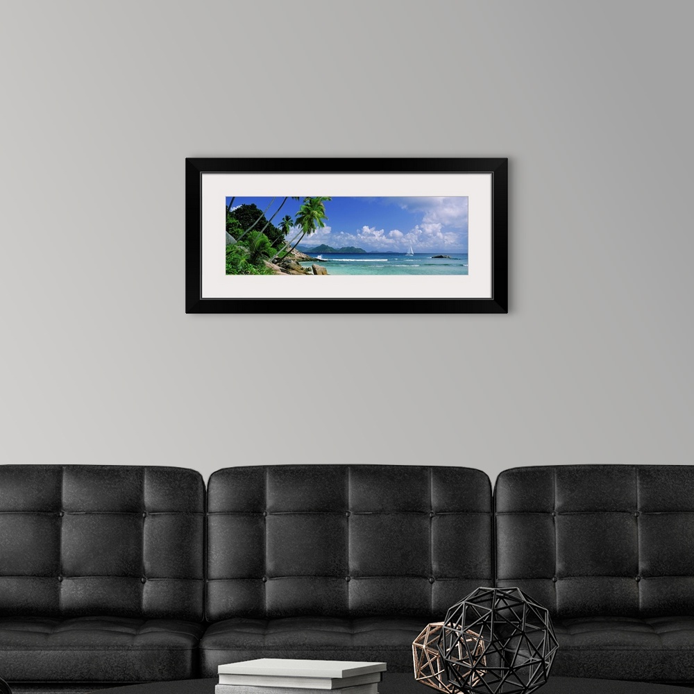 A modern room featuring Long panoramic image of palm trees lining a beach with a sailboat sailing in the ocean.