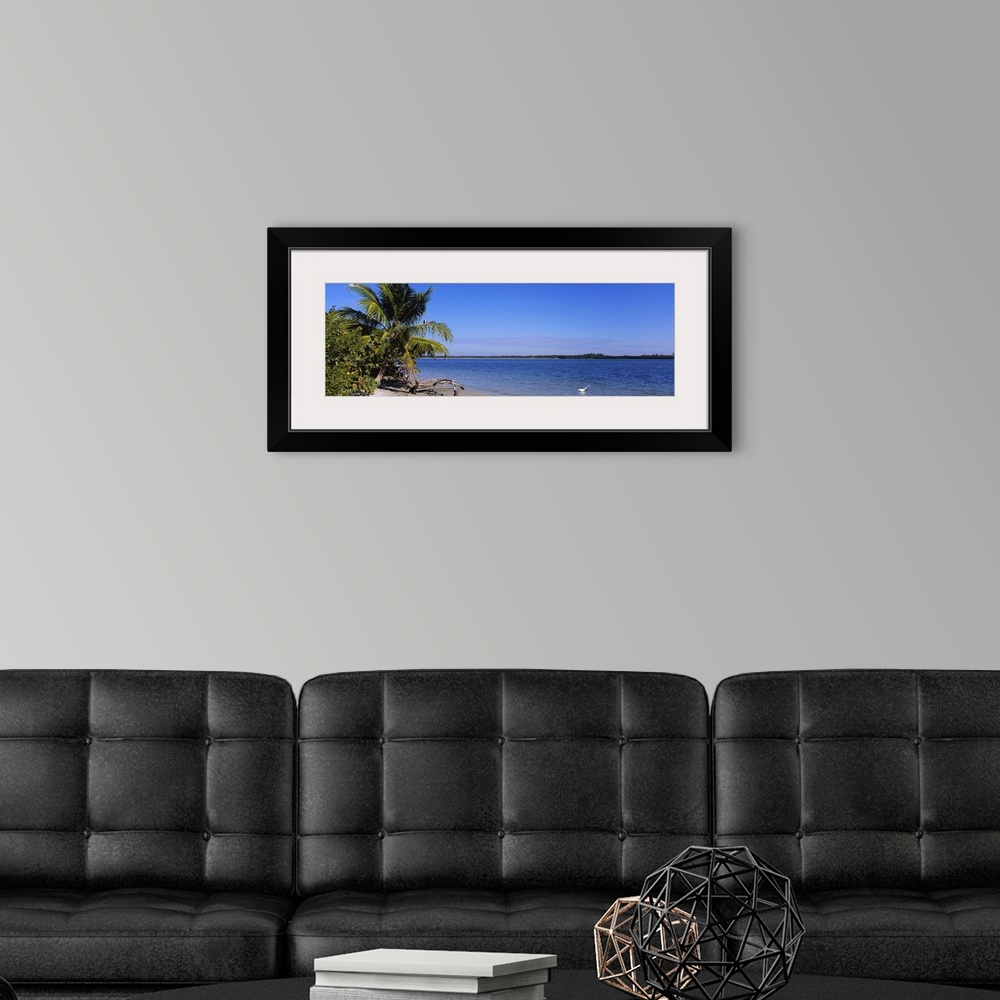A modern room featuring Palm trees on the beach, Fort Myers Beach, Bowditch Point Regional Park, Gulf Of Mexico, Florida