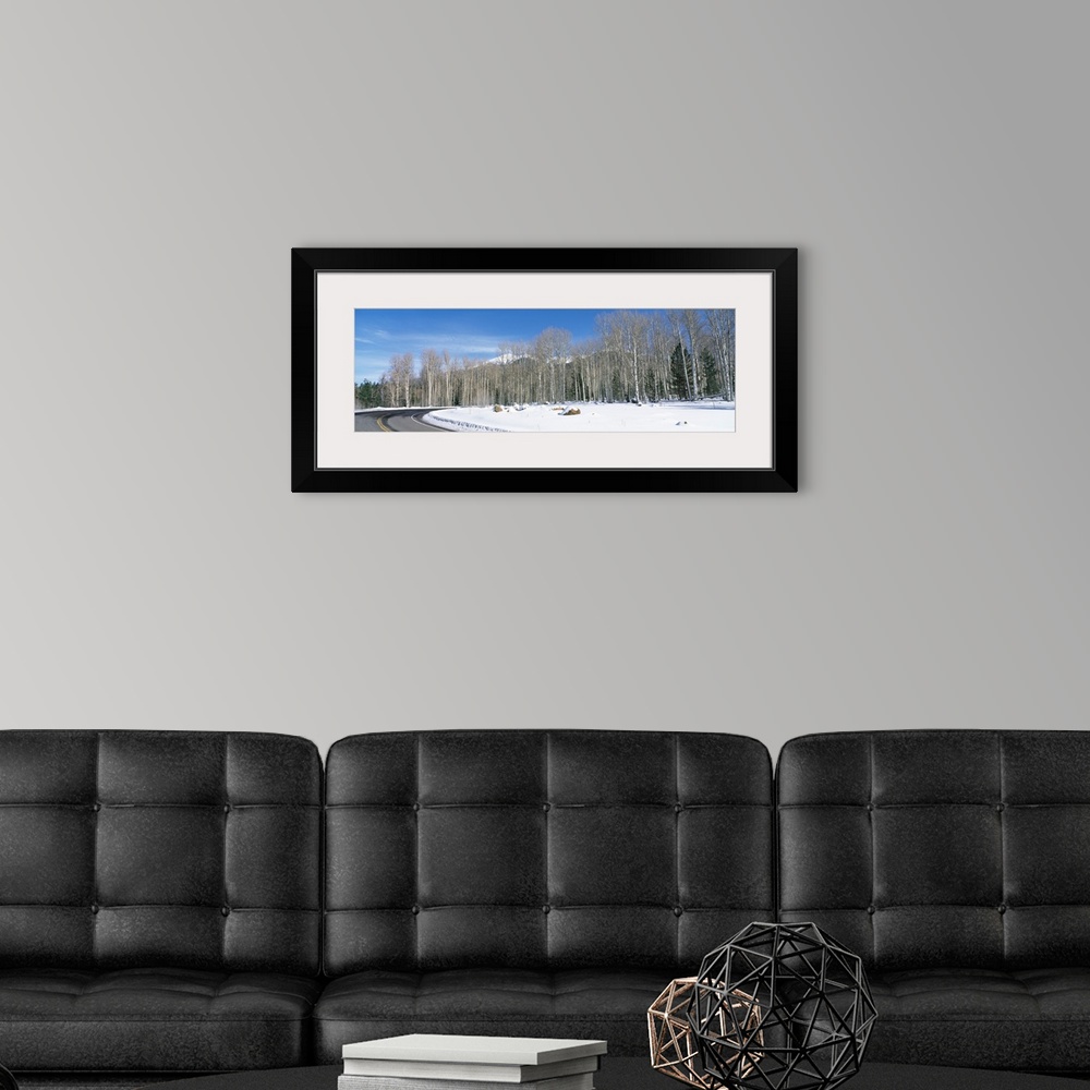 A modern room featuring Road passing through a forest, Flagstaff, Coconino County, Arizona