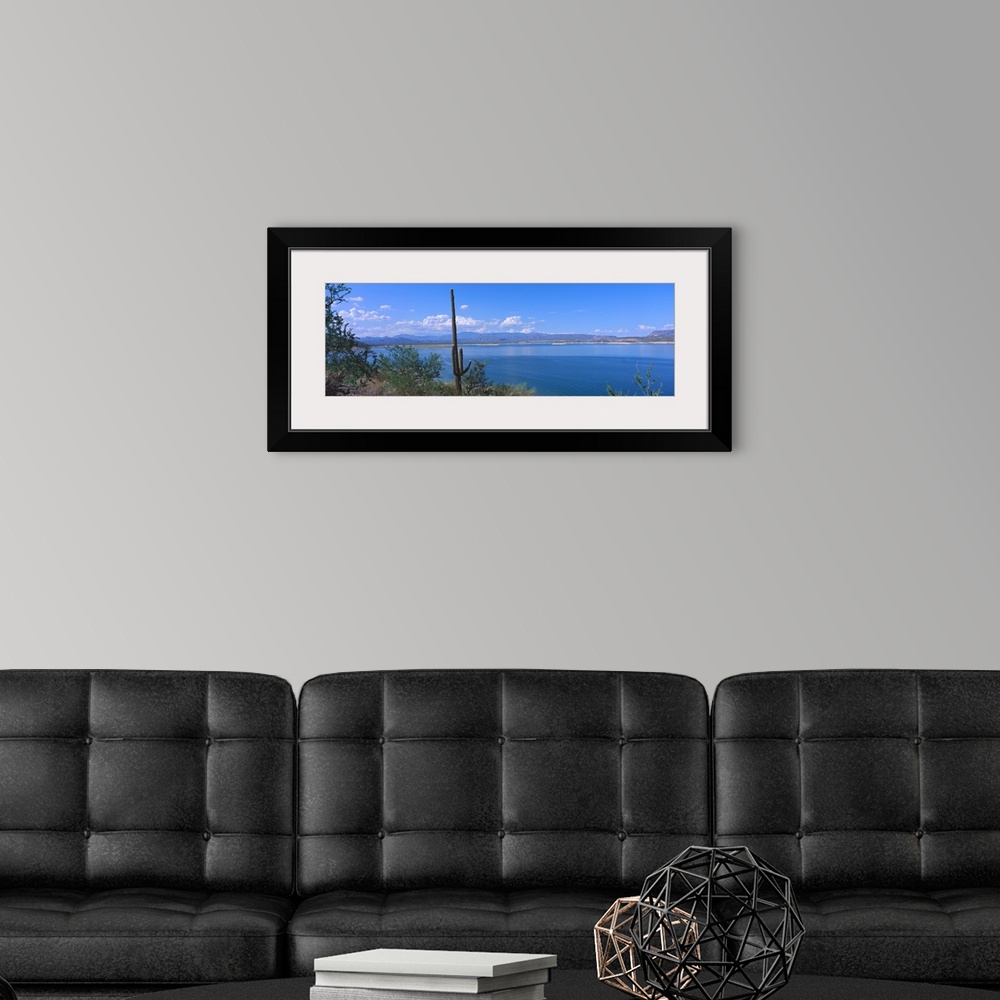 A modern room featuring Saguaro cactus (Carnegiea gigantea) at the lakeside with a mountain range in the background, Lake...