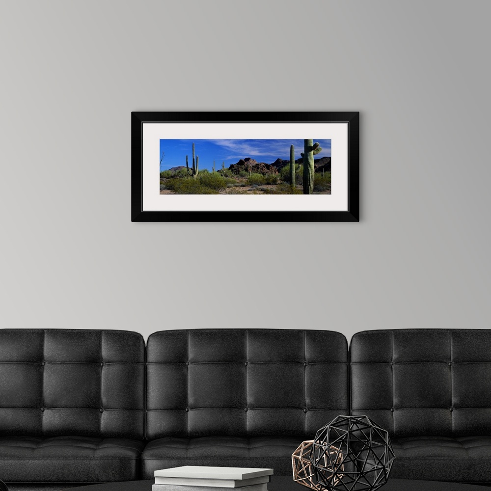 A modern room featuring Panoramic photograph of cactus in an Arizona desert with mountainous terrain in the background.