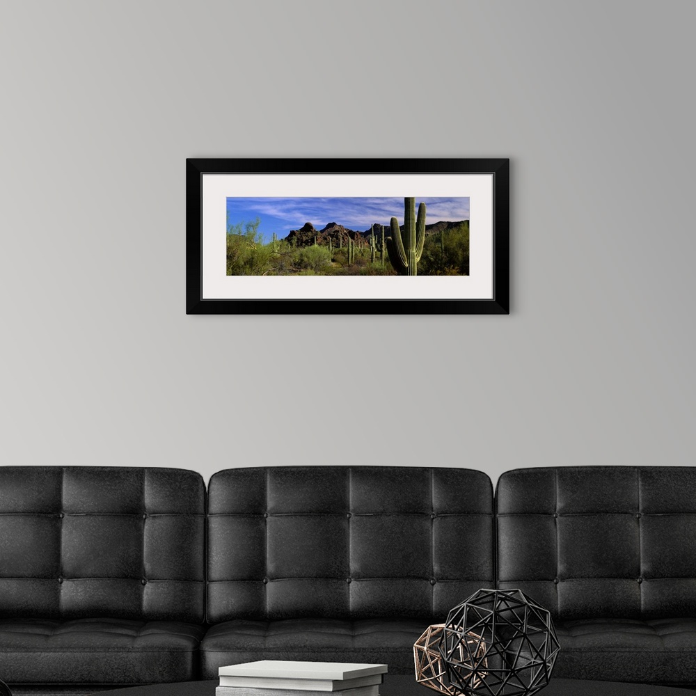 A modern room featuring Panoramic photograph of desert with cacti and bushes with mountains in the distance under a cloud...