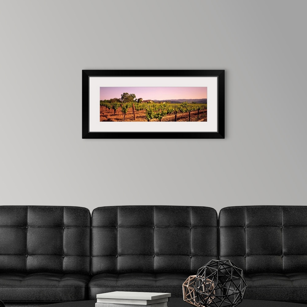 A modern room featuring Panoramic photograph of grape vineyard with mountains in the distance.