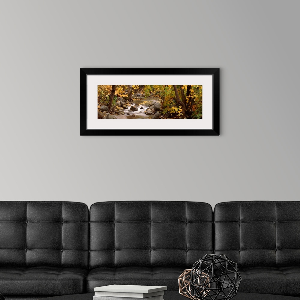A modern room featuring Panoramic photograph of water running through autumn forest over large rocks an boulders.