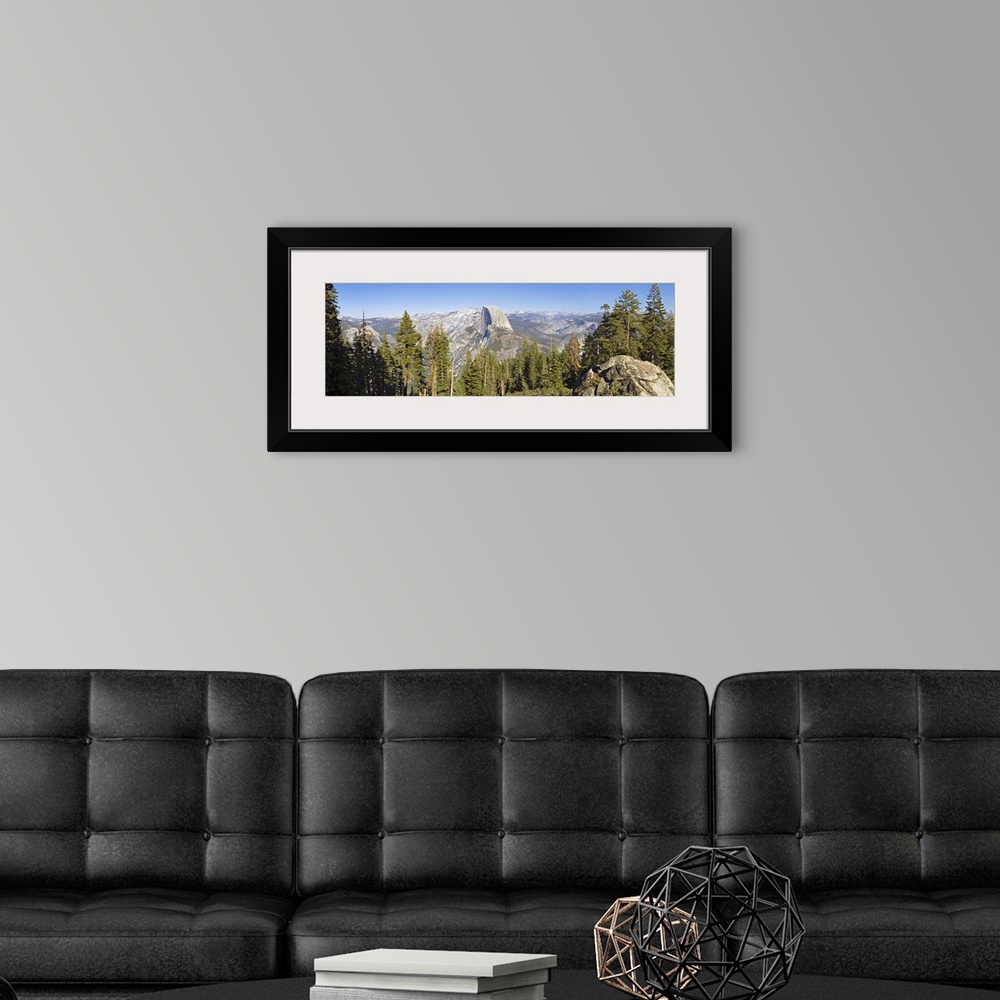 A modern room featuring Trees in a forest, Half Dome, Yosemite National Park, California