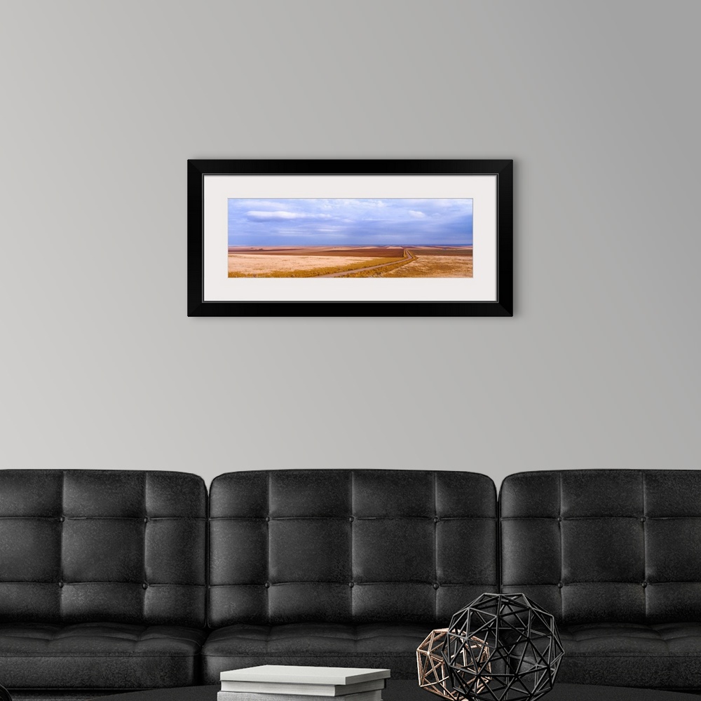 A modern room featuring View of wheat fields, Carter, Chouteau County, Montana, USA.
