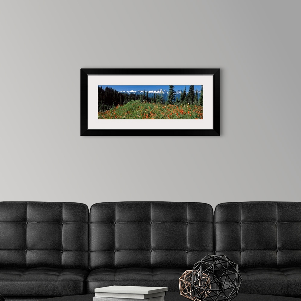 A modern room featuring Begbie Mountain Revelstoke National Park BC Canada