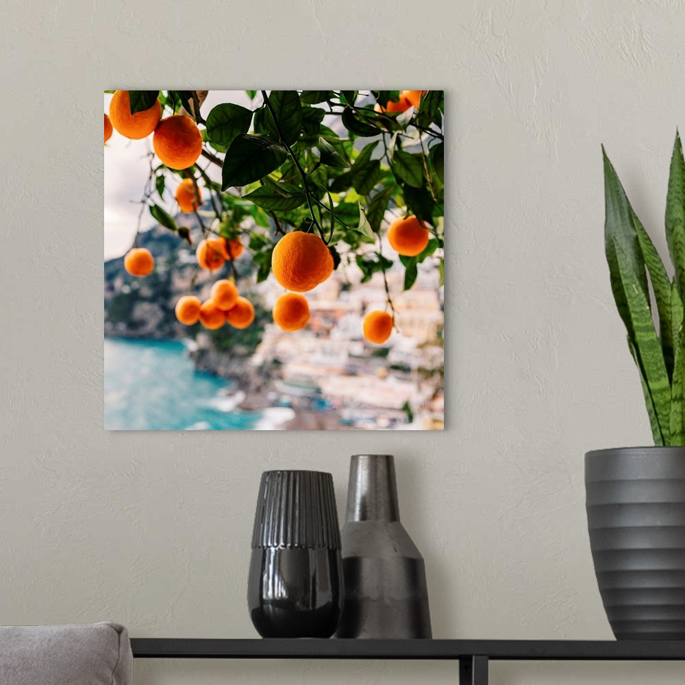 A modern room featuring Amalfi Coast Oranges