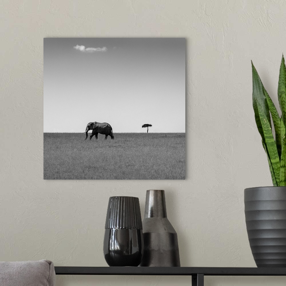 A modern room featuring Elephant And The Friendly Cloud
