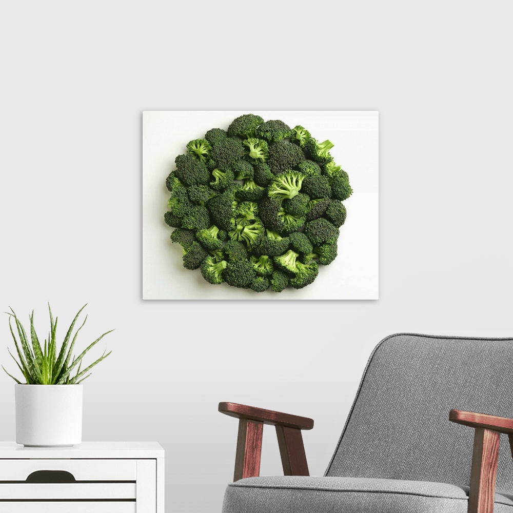 A modern room featuring Broccoli florets