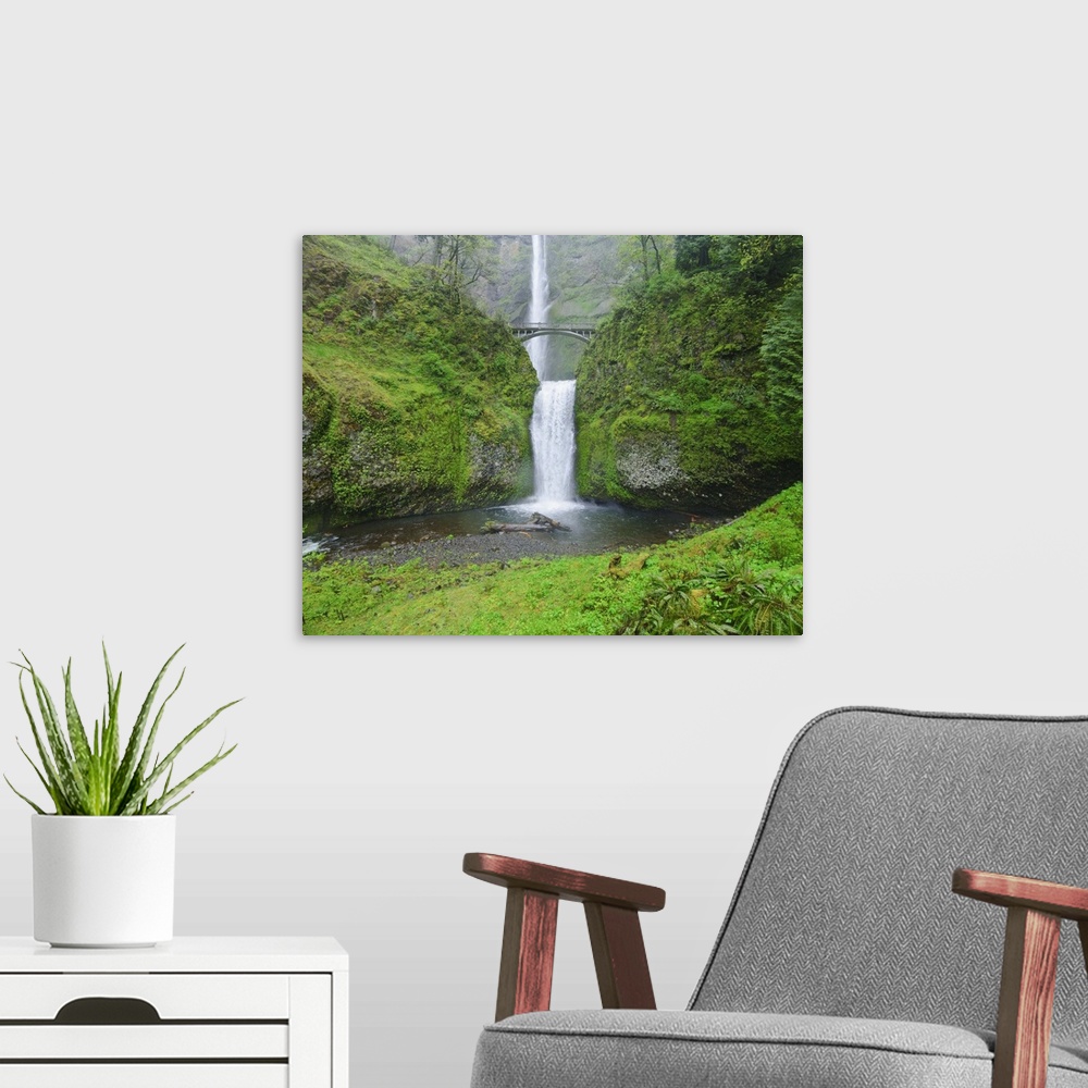 A modern room featuring Multnomah Falls In Spring In Columbia River Gorge, Oregon