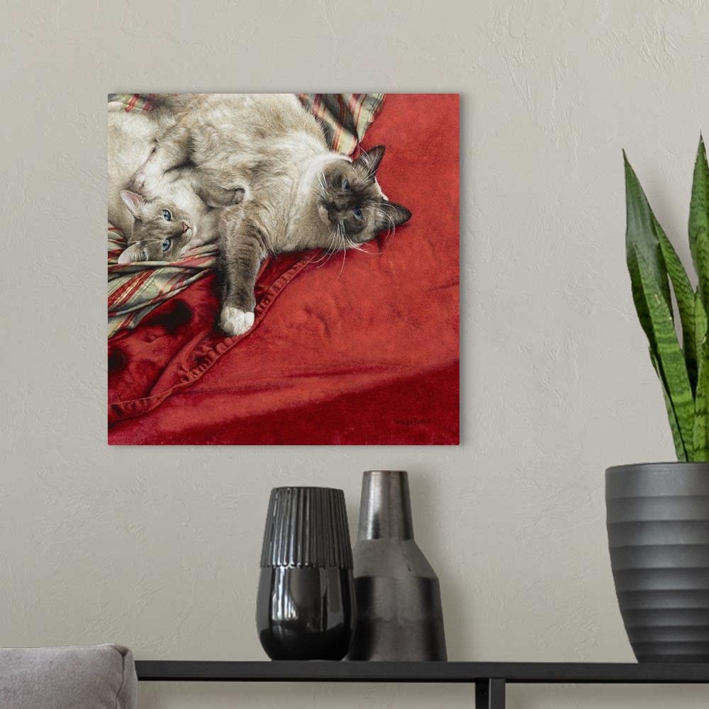 A modern room featuring Two cats laying on a red blanket.