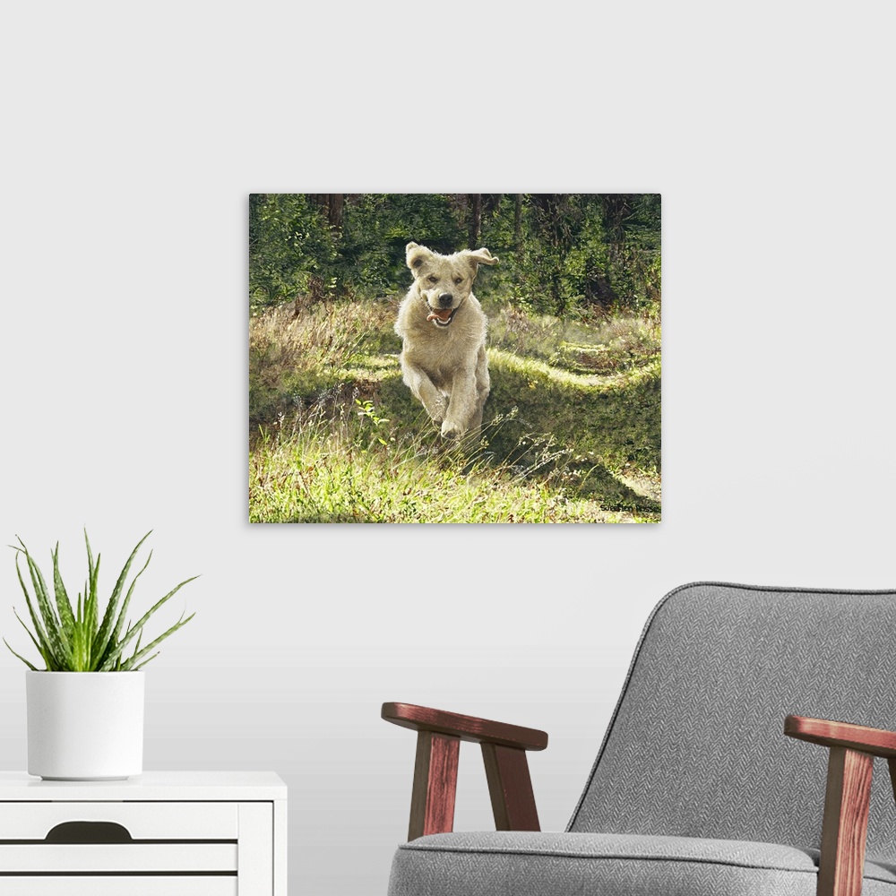A modern room featuring Horizontal image of a lively dog running through the woods.