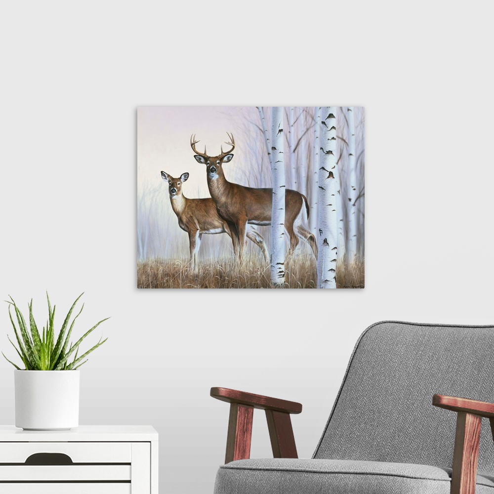 A modern room featuring A buck and doe standing behind some white birch trees.