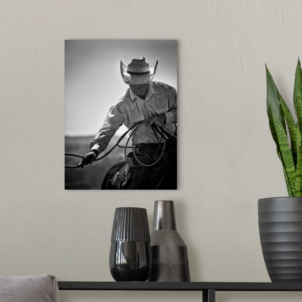 A modern room featuring Cowboy on horseback with lasso