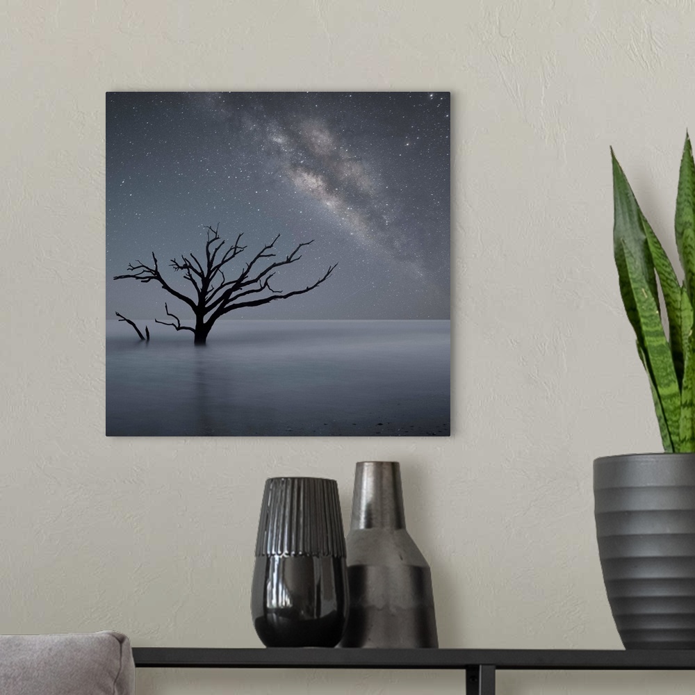 A modern room featuring An artistic photograph of a lone dead tree standing in shallow water under starry night sky.