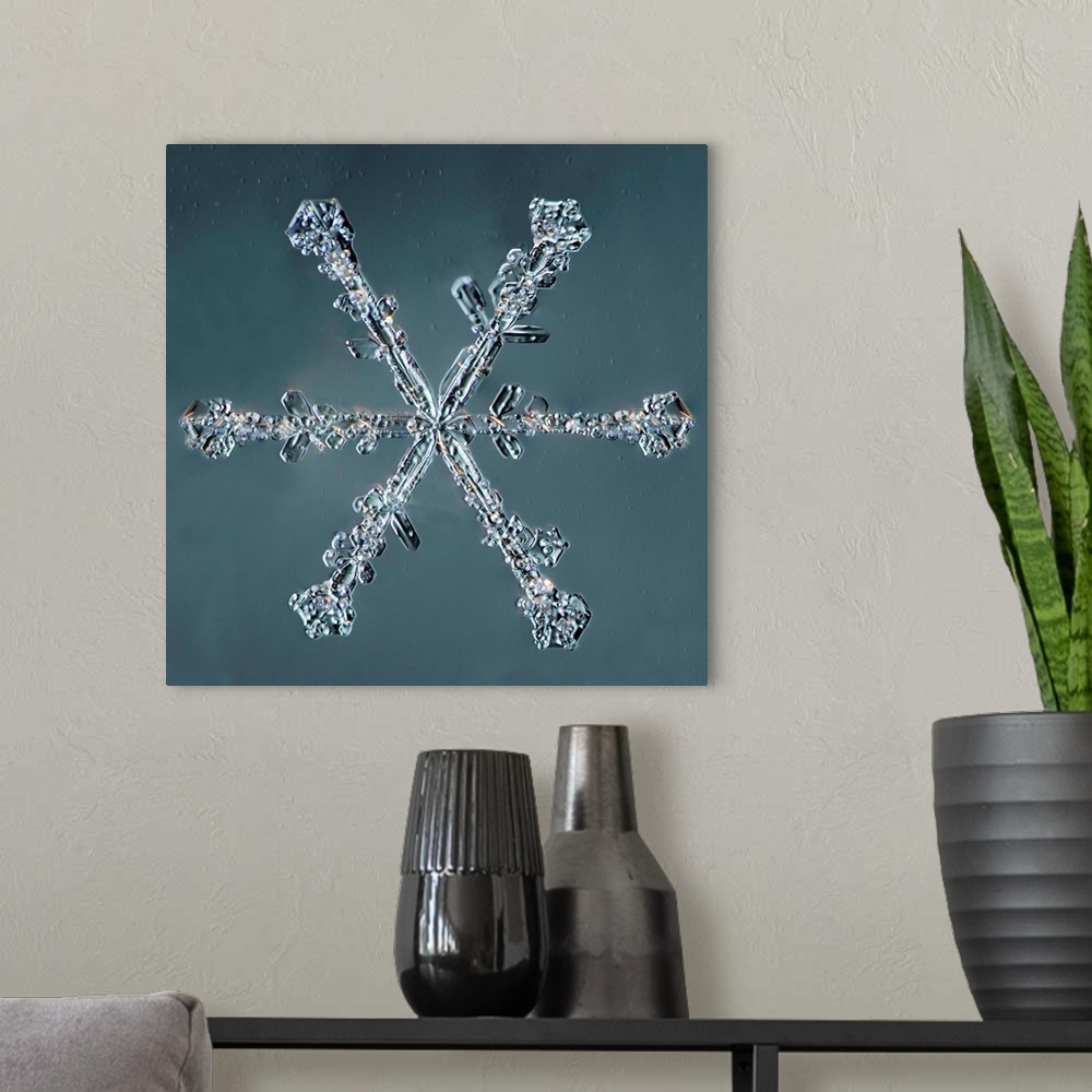 A modern room featuring Stellar Dendrite Snowflake