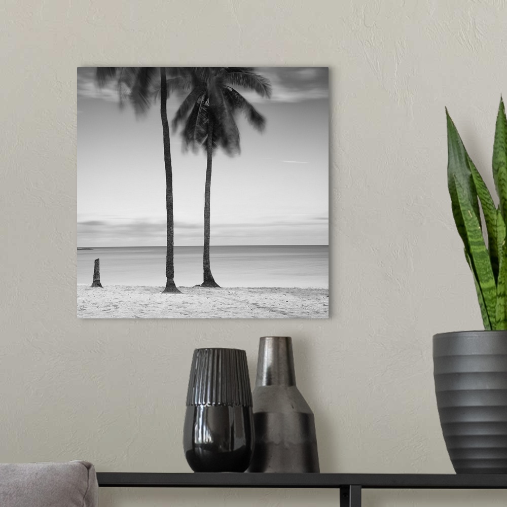 A modern room featuring An artistic black and white photograph of palm trees on a tropical beach.