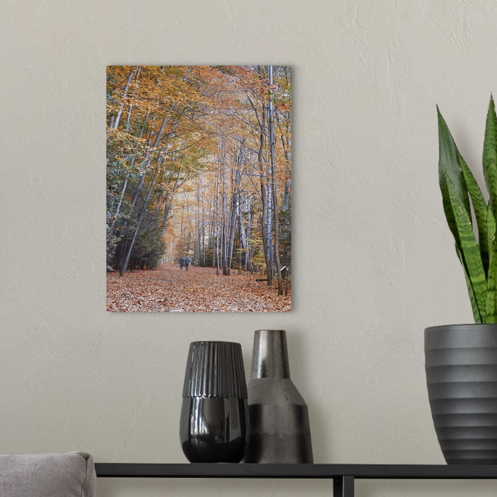 A modern room featuring An artistic photograph of a road leading through a forest in fall foliage with two people walking...