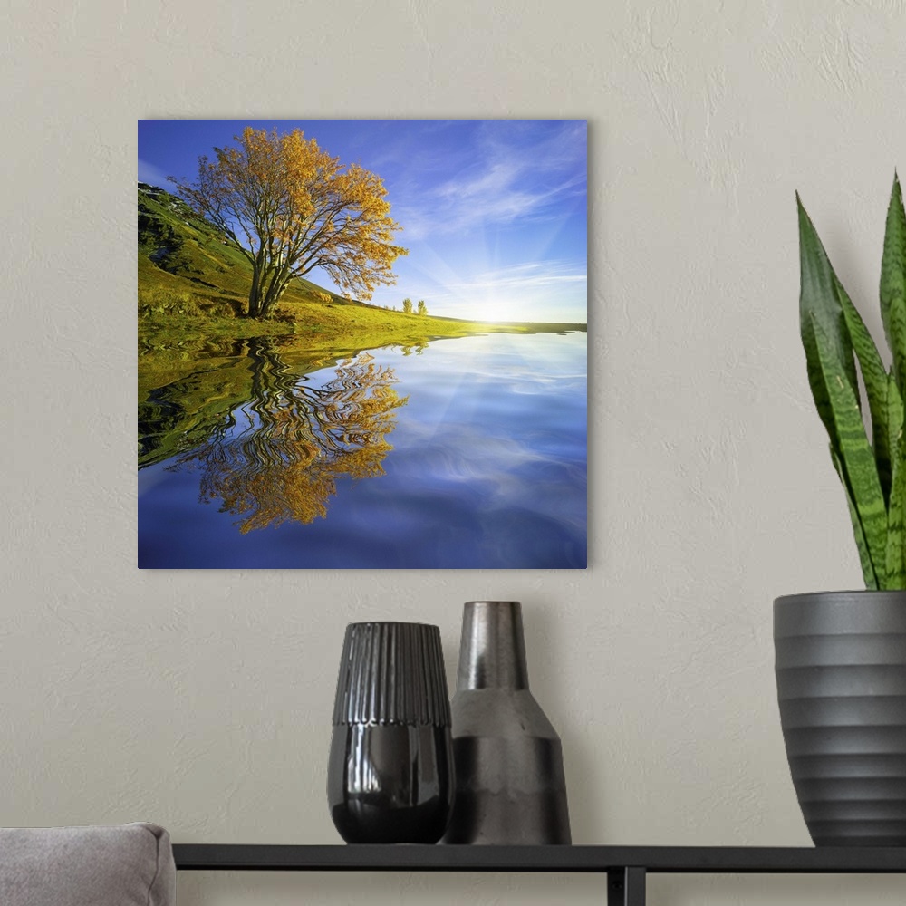 A modern room featuring An artistic photograph of a tree in fall foliage leaning over a lake casting a perfect reflection.